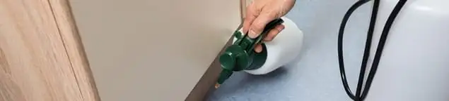 Bed bug exterminator treating baseboards and cracks with targeted spray in Nashua, NH