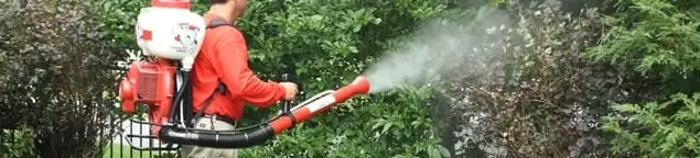 Mosquito control technician fogging shrubs and landscaping for mosquito treatment in Nashua, NH