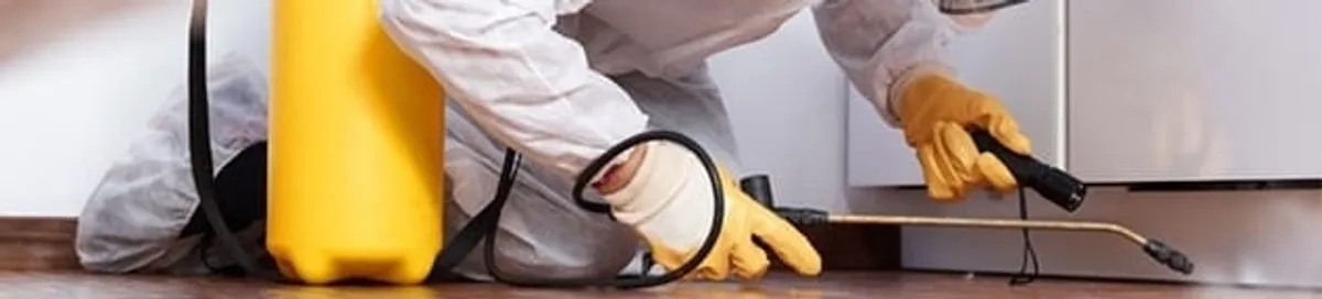 Roach exterminator treating cracks and crevices along kitchen baseboards in Nashua, NH