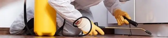 Roach exterminator treating cracks and crevices along kitchen baseboards in Nashua, NH