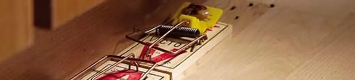 Rodent trap set indoors for rodent control and prevention in Nashua, NH
